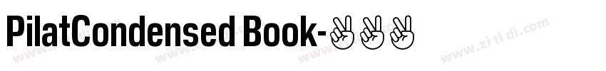 PilatCondensed Book字体转换